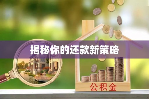 鹿野揭秘你的还款新策略
