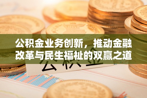 鹿野公积金业务创新，推动金融改革与民生福祉的双赢之道