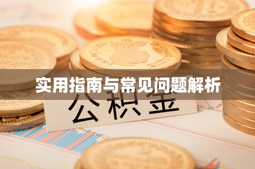 鹿野实用指南与常见问题解析
