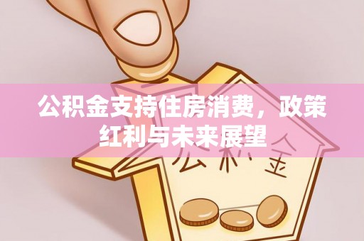 鹿野公积金支持住房消费，政策红利与未来展望