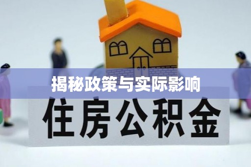 鹿野揭秘政策与实际影响