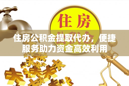 鹿野住房公积金提取代办，便捷服务助力资金高效利用