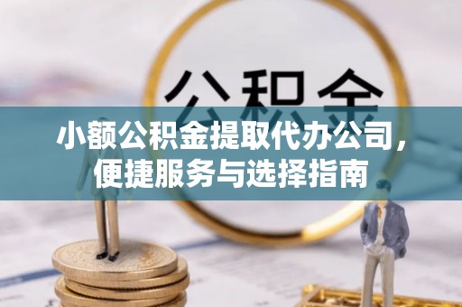 鹿野小额公积金提取代办公司，便捷服务与选择指南