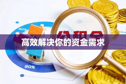 鹿野高效解决你的资金需求